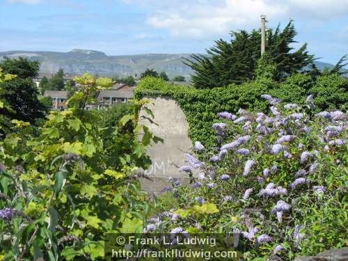 Disused Swimming Pool, Sligo